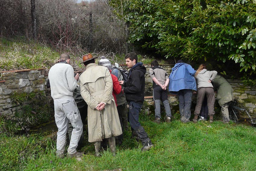 Volontanfibi 2013: grossi sassi piatti!